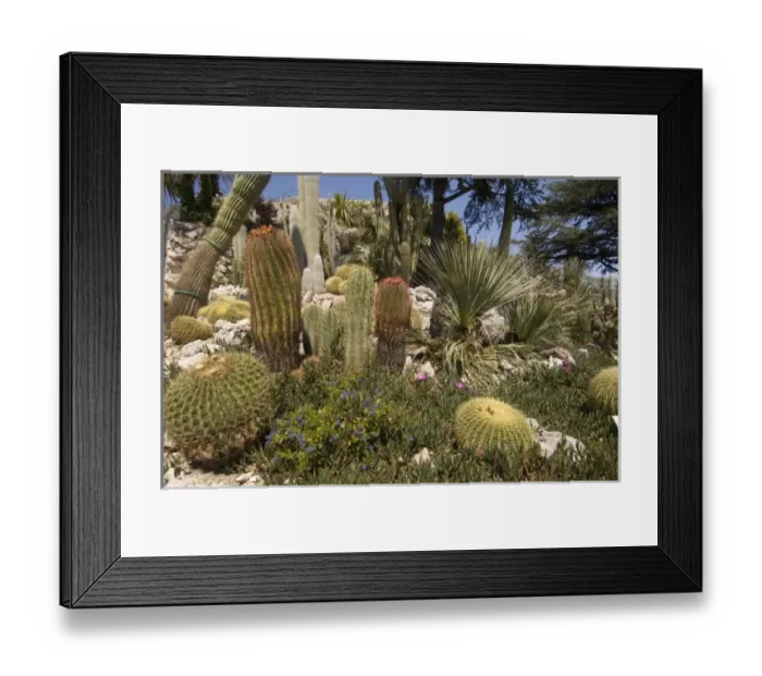 Framed Print : Europe, France Framed Print : Europe, France