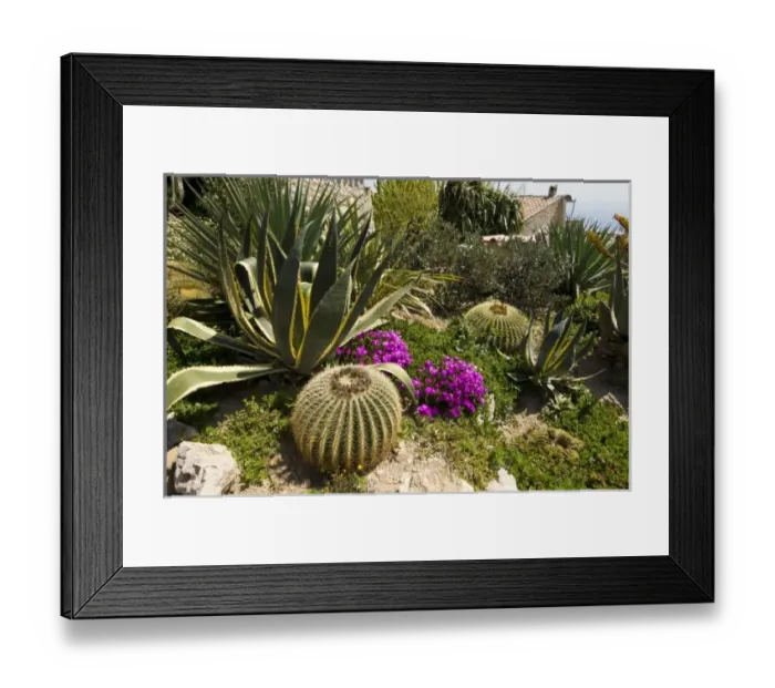 Framed Print : Europe, France Framed Print : Europe, France