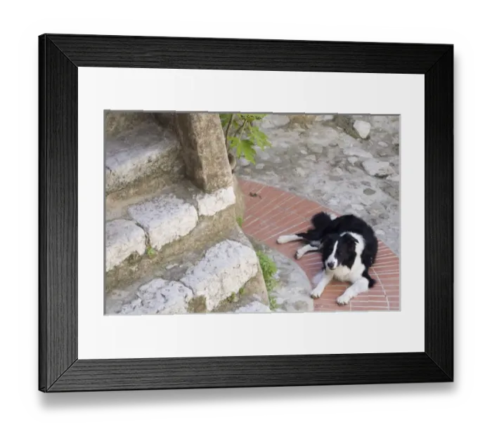 Framed Print : Europe, France Framed Print : Europe, France