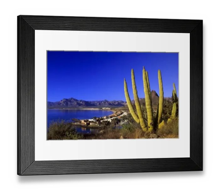 Framed Print : San Carlos, Mexico Framed Print : San Carlos, Mexico