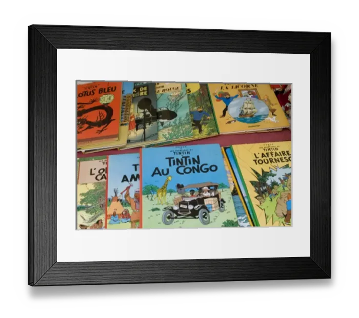 Framed Print : Europe, France