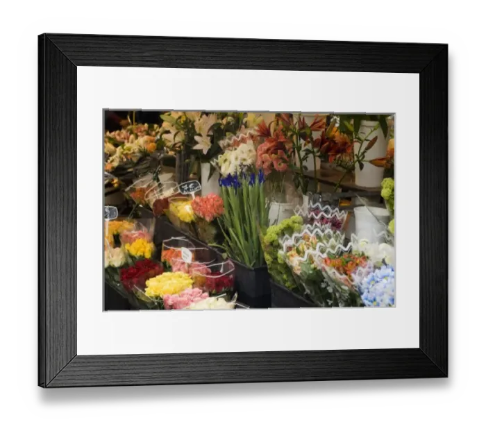 Framed Print : Europe, France