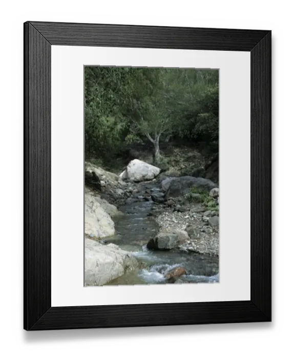 Framed Print : Mexico, stream in Copper Canyon Framed Print : Mexico, stream in Copper Canyon