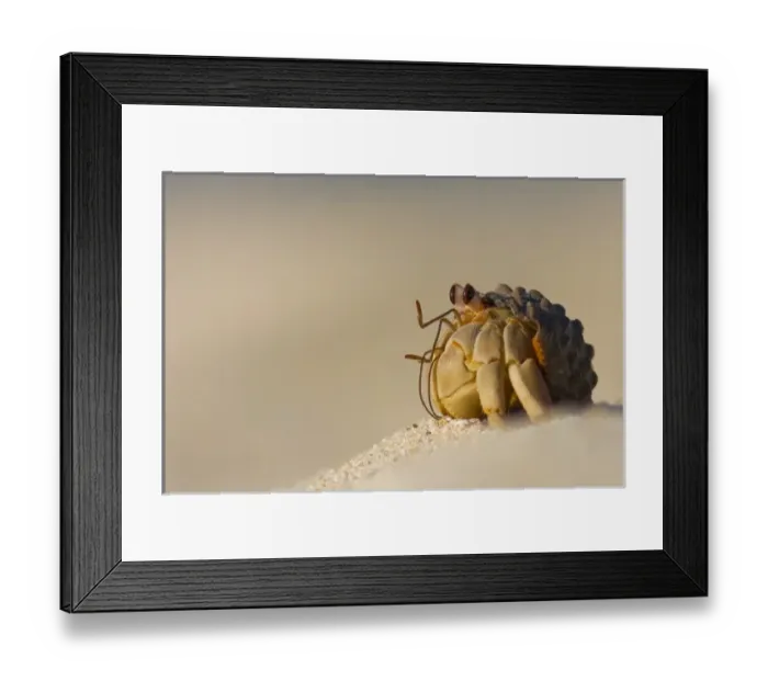 Framed Print : North America, Mexico