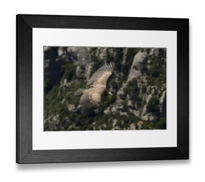 Framed Print : Europe, France