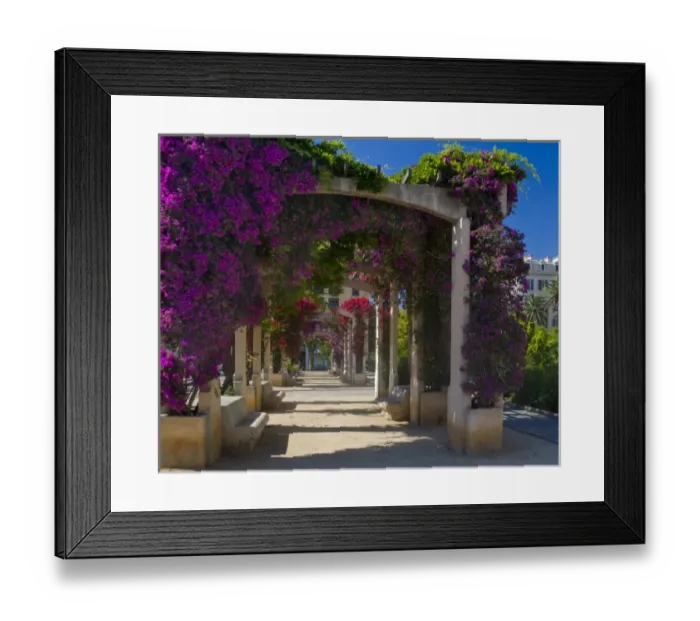 Framed Print : France, Corsica. Flowers in bloom on arbors above walkway at Place De Gaulle (De Gaulle Square)
