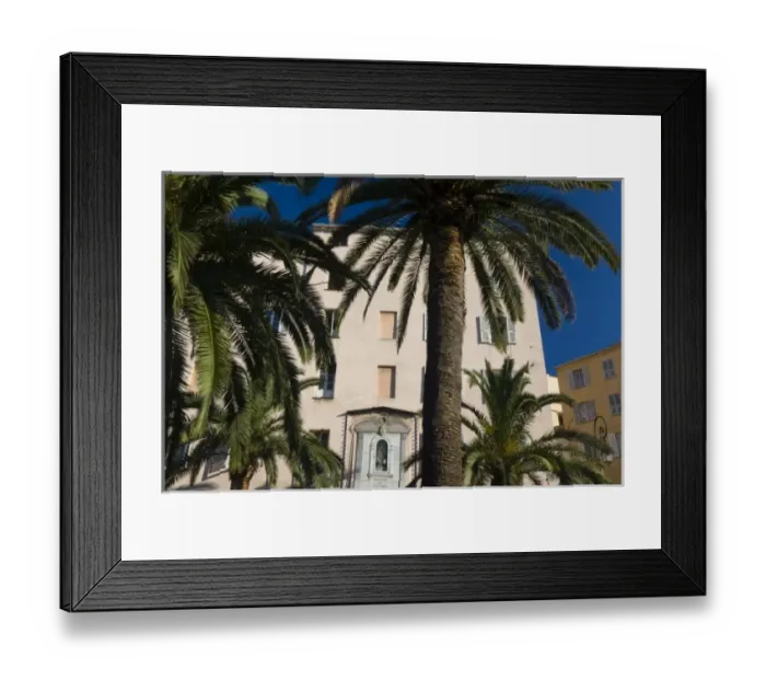 Framed Print : France, Corsica. Palm trees and apartment building. Ajaccio
