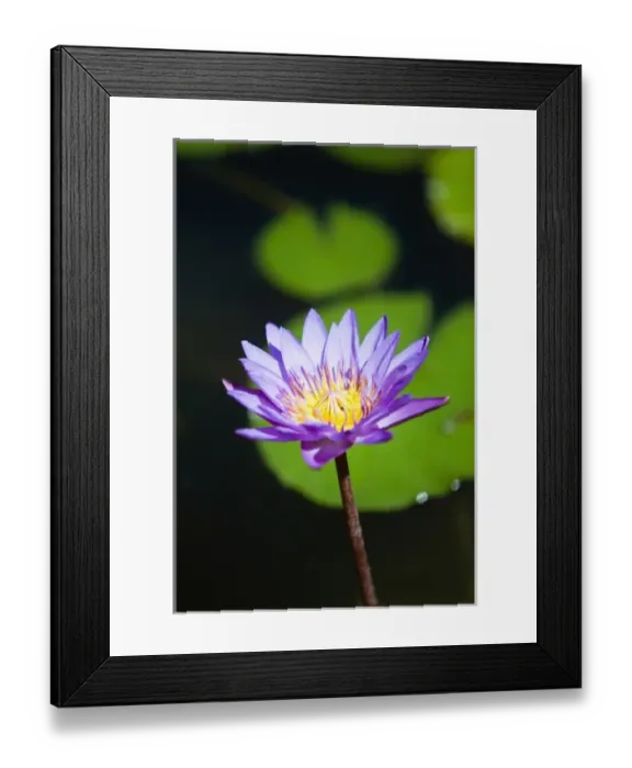 Framed Print : Cancun, Mexico Framed Print : Cancun, Mexico
