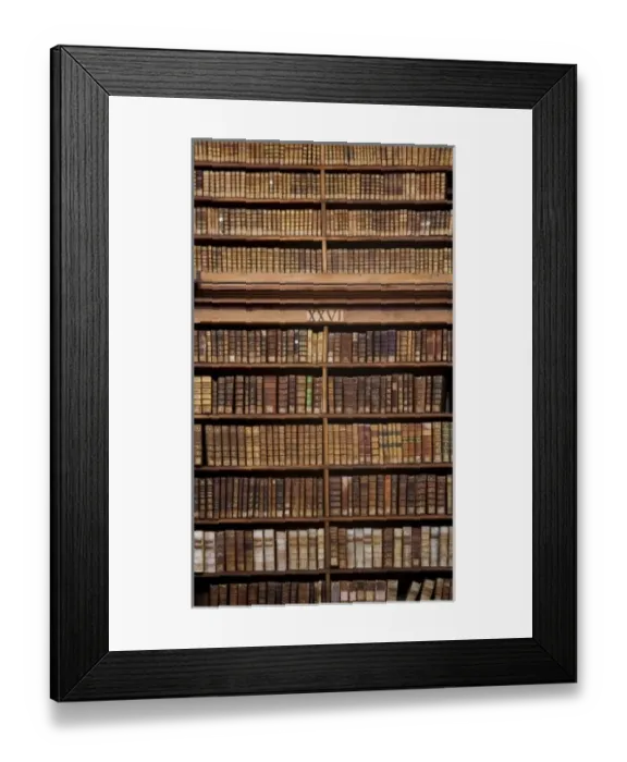 Framed Print : France, Corsica. Old books in Ajaccio municipal library