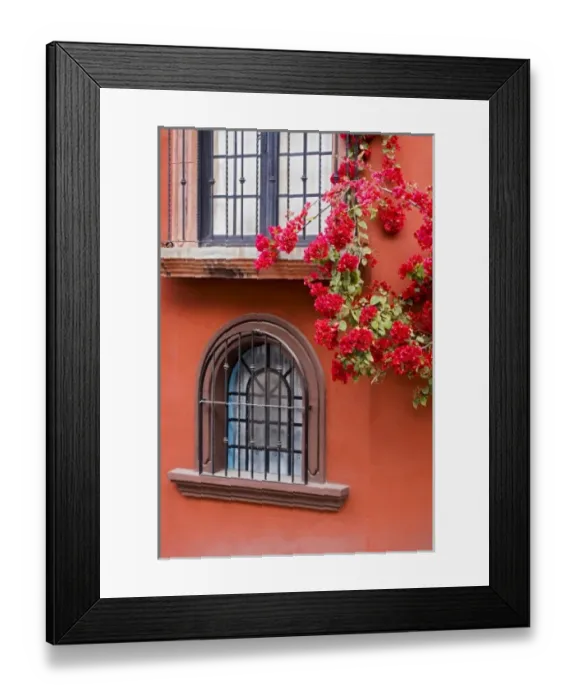 Framed Print : North America, Central Mexico, Guanajuato state, San Miguel de Allende. Windows of casa Framed Print : North America, Central Mexico, Guanajuato state, San Miguel de Allende. Windows of casa