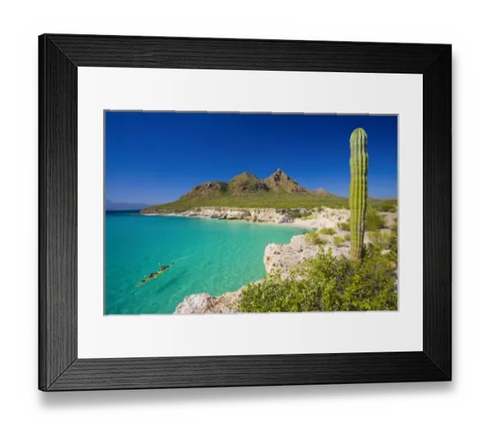 Framed Print : Mexico, Baja, Sea of Cortez. Sea Kayakers, white sand beach and Cardon Cactus of Isla Carmen
