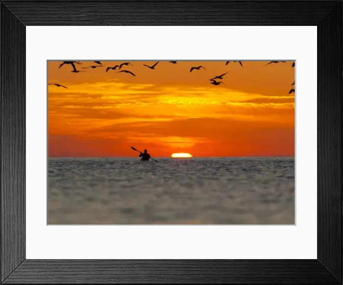 Framed Print : Mexico, Baja, Sea of Cortez. Sea Kayaker and sunrise with gulls overhead. (MR) Framed Print : Mexico, Baja, Sea of Cortez. Sea Kayaker and sunrise with gulls overhead. (MR)
