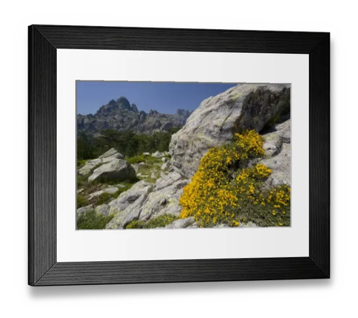 Framed Print : Europe, France