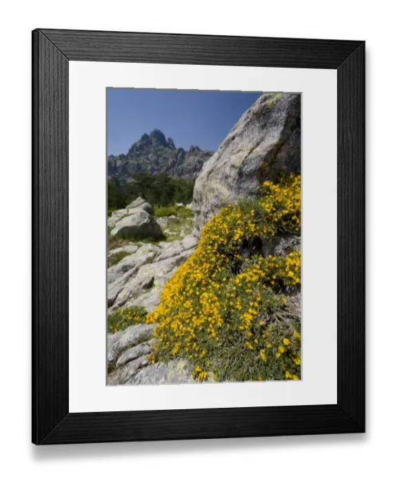 Framed Print : Europe, France