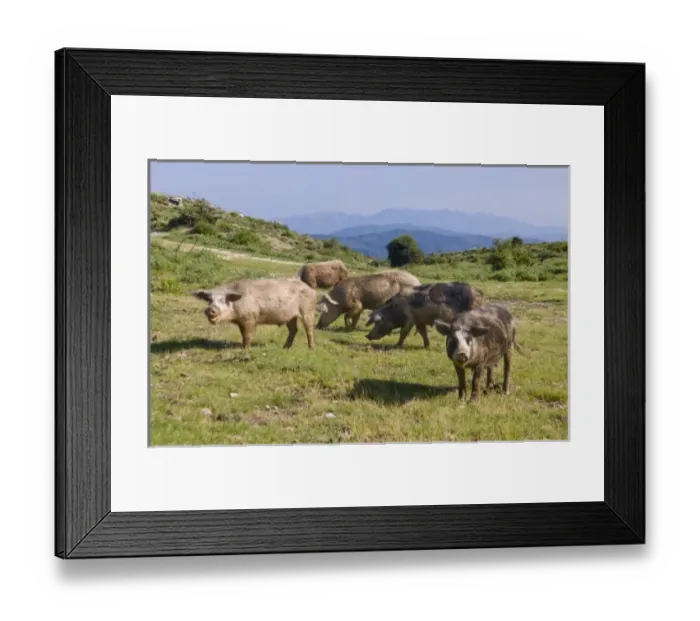 Framed Print : Europe, France Framed Print : Europe, France