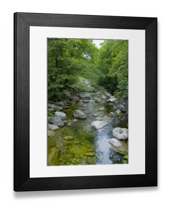 Framed Print : Corsica. France. Europe. Stream & forest at mouth of Gorges du Tavignano (Tavignao Framed Print : Corsica. France. Europe. Stream & forest at mouth of Gorges du Tavignano (Tavignao