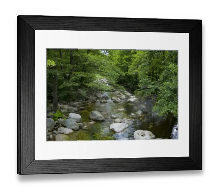 Framed Print : France, Corsica. Stream and forest at mouth of Gorges du Tavignano (Tavignao Gorge) near Corte Framed Print : France, Corsica. Stream and forest at mouth of Gorges du Tavignano (Tavignao Gorge) near Corte
