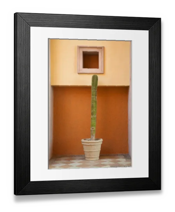 Framed Print : Cabo San Lucas, Baja California Sur, Mexico - A potted cactus stands in a niche next to an orange Framed Print : Cabo San Lucas, Baja California Sur, Mexico - A potted cactus stands in a niche next to an orange