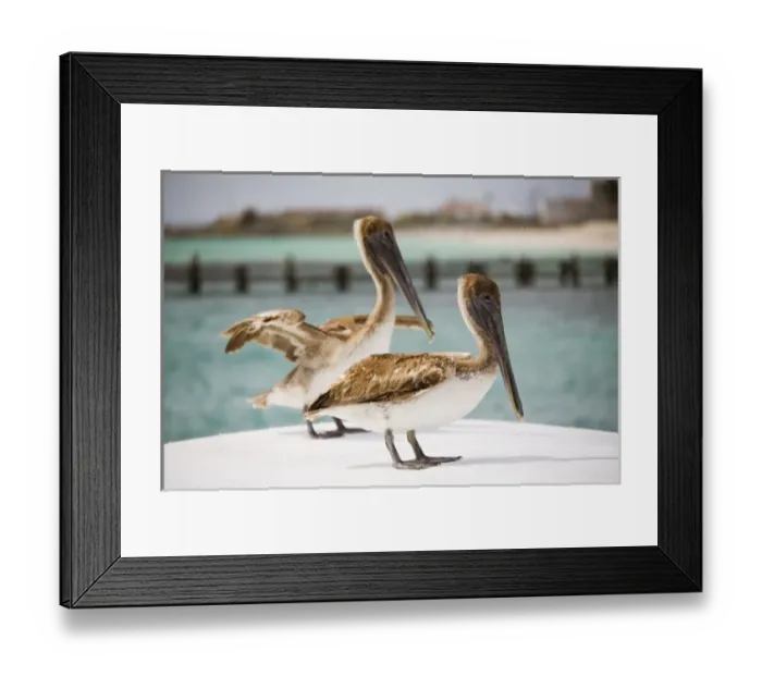 Framed Print : North America, Mexico Framed Print : North America, Mexico