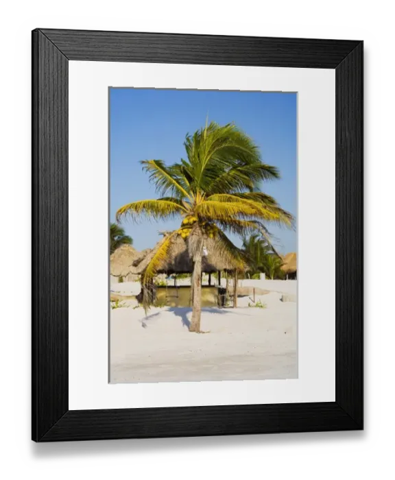 Framed Print : North America, Mexico, Quintana Roo, Tulum. A grouping of beach huts and coconut Framed Print : North America, Mexico, Quintana Roo, Tulum. A grouping of beach huts and coconut
