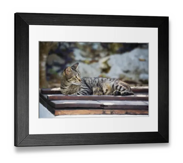 Framed Print : North America, Mexico Framed Print : North America, Mexico