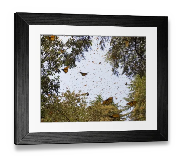 Framed Print : North America, Mexico Framed Print : North America, Mexico