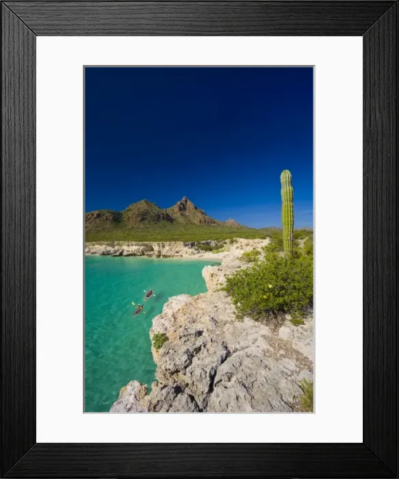 Framed Print : Mexico, Baja, Sea of Cortez. Sea Kayakers, white sand beach and Cardon Cactus of Isla Carmen Framed Print : Mexico, Baja, Sea of Cortez. Sea Kayakers, white sand beach and Cardon Cactus of Isla Carmen