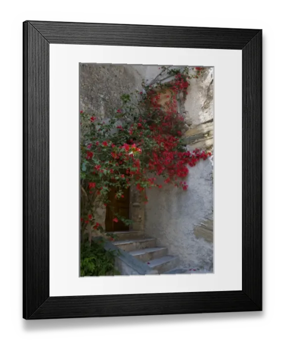 Framed Print : France, Corsica. Bougainvillea in bloom above entrance to house in Oletta