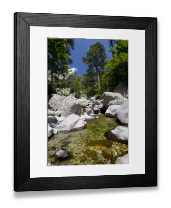 Framed Print : France, Corsica. Clear water and granite below forest of beech and laricio pine trees Framed Print : France, Corsica. Clear water and granite below forest of beech and laricio pine trees