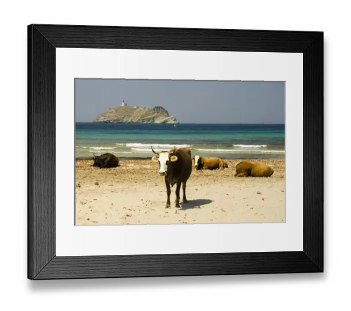 Framed Print : Europe, France Framed Print : Europe, France