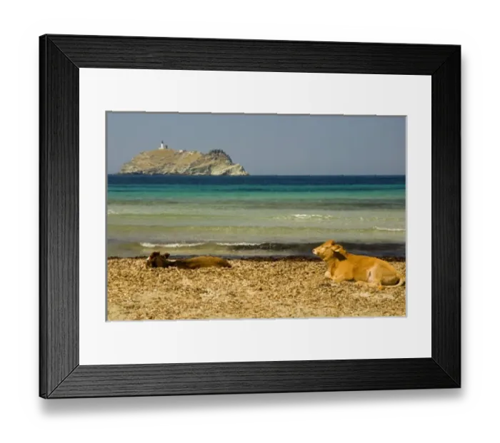 Framed Print : Europe, France Framed Print : Europe, France