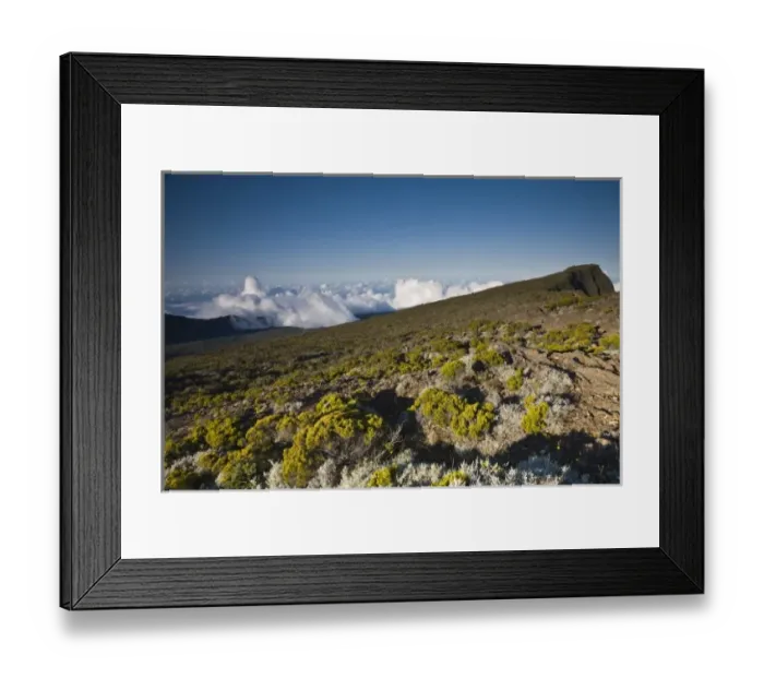 Framed Print : France, Reunion Island, Bourg Murat, Plaine-des-Cafres, landscape on the rim of Framed Print : France, Reunion Island, Bourg Murat, Plaine-des-Cafres, landscape on the rim of