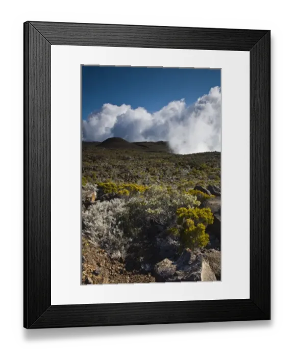 Framed Print : France, Reunion Island, Bourg Murat, Plaine-des-Cafres, landscape on the rim of Framed Print : France, Reunion Island, Bourg Murat, Plaine-des-Cafres, landscape on the rim of