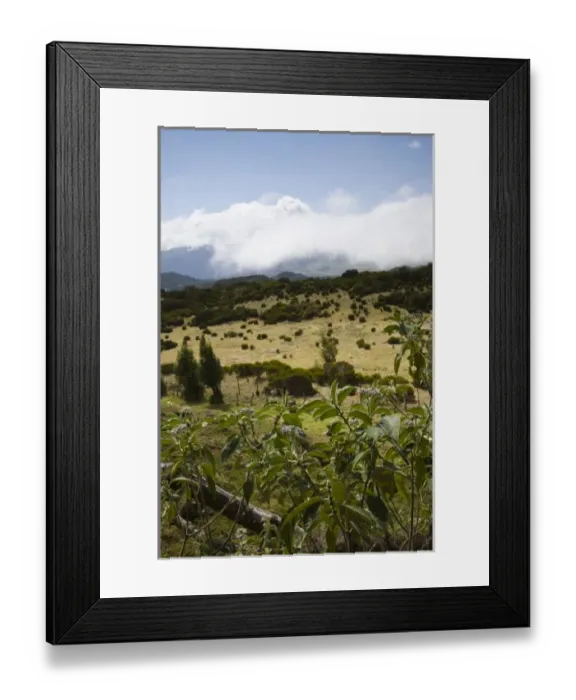 Framed Print : Europe, France