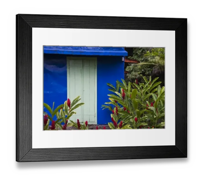 Framed Print : France, Reunion Island, East Reunion, Piton Ste-Rose, blue Creole house with Red Ginger flowers Framed Print : France, Reunion Island, East Reunion, Piton Ste-Rose, blue Creole house with Red Ginger flowers