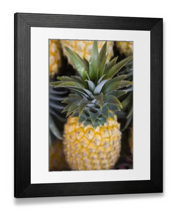 Framed Print : Europe, France Framed Print : Europe, France