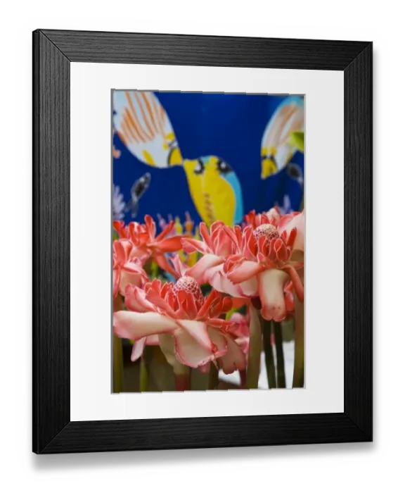 Framed Print : France, Reunion Island, St-Paul, Seafront Market, Torch Ginger, amomum magnificum Framed Print : France, Reunion Island, St-Paul, Seafront Market, Torch Ginger, amomum magnificum