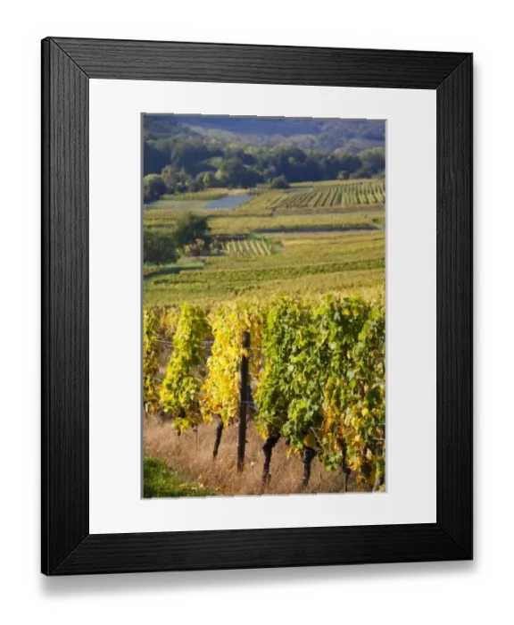 Framed Print : Europe, France Framed Print : Europe, France