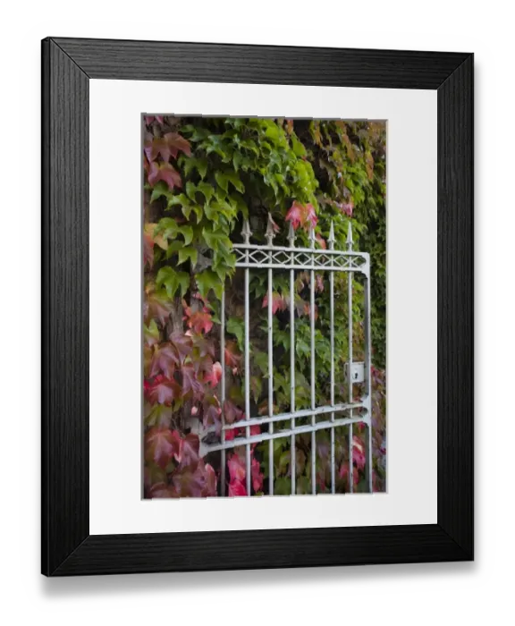 Framed Print : France, Jura Department, Franche-Comte Region, Arbois, gate, autumn