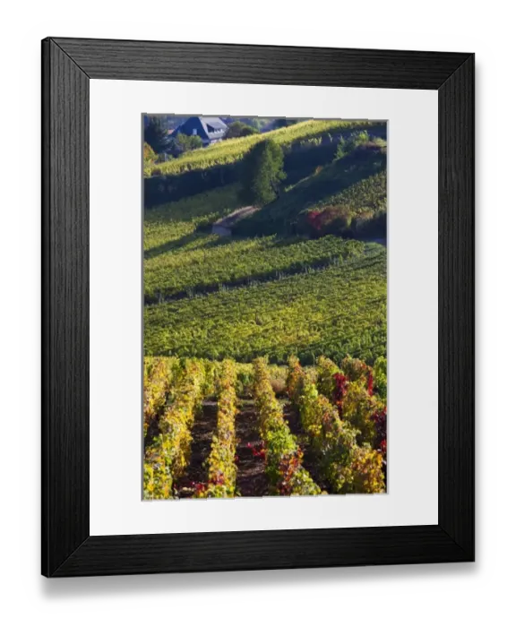 Framed Print : Europe, France