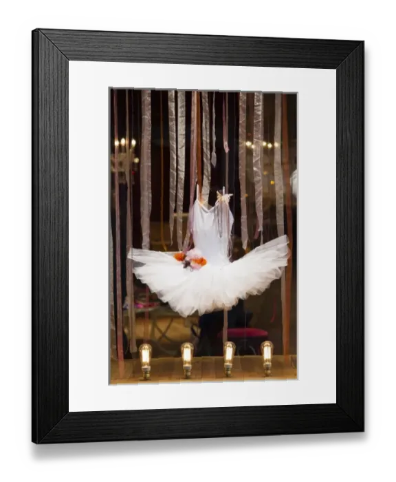 Framed Print : France, Languedoc-Roussillon, Herault Department, Montpellier, ballet tutus
