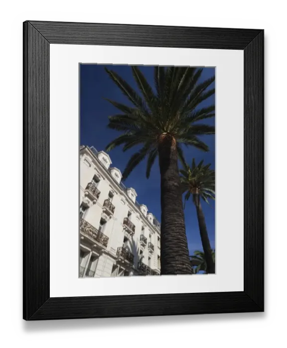 Framed Print : France, Languedoc-Roussillon, Pyrenees-Orientales Department, Perpignan, Place Arago