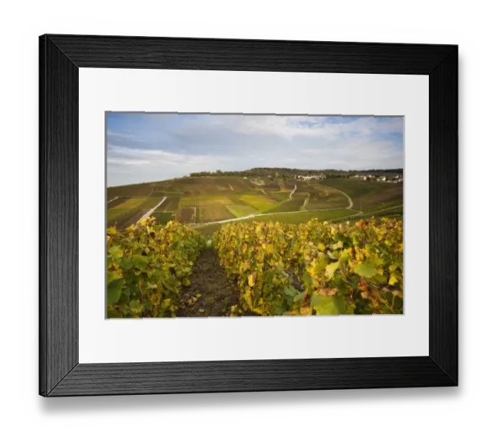 Framed Print : Europe, France Framed Print : Europe, France