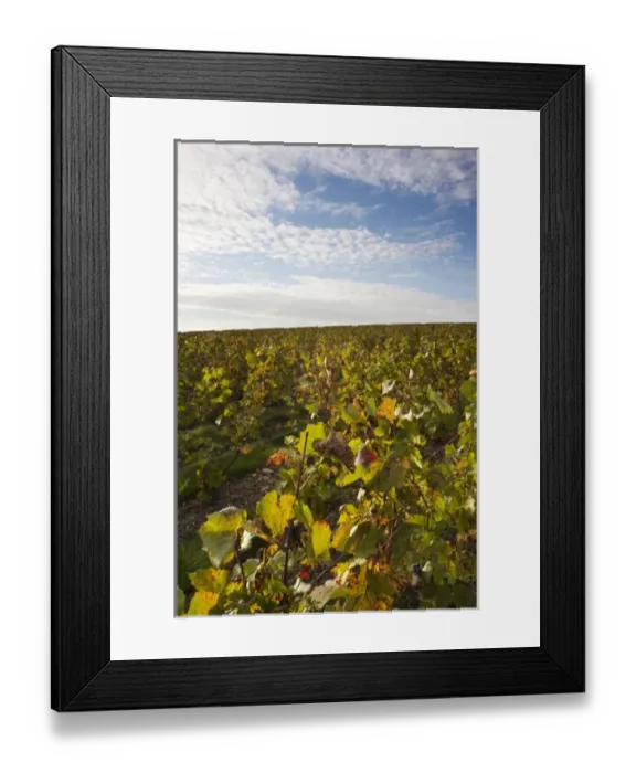 Framed Print : Europe, France Framed Print : Europe, France
