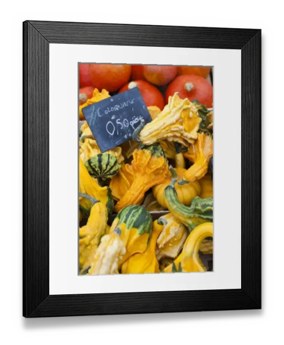 Framed Print : Europe, France Framed Print : Europe, France