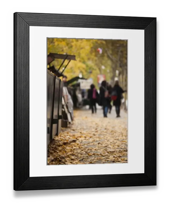 Framed Print : Europe, France