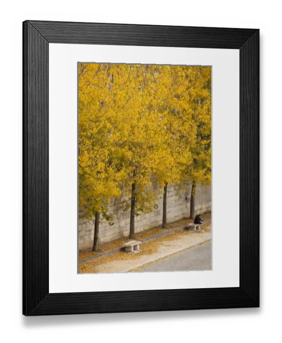 Framed Print : Europe, France Framed Print : Europe, France