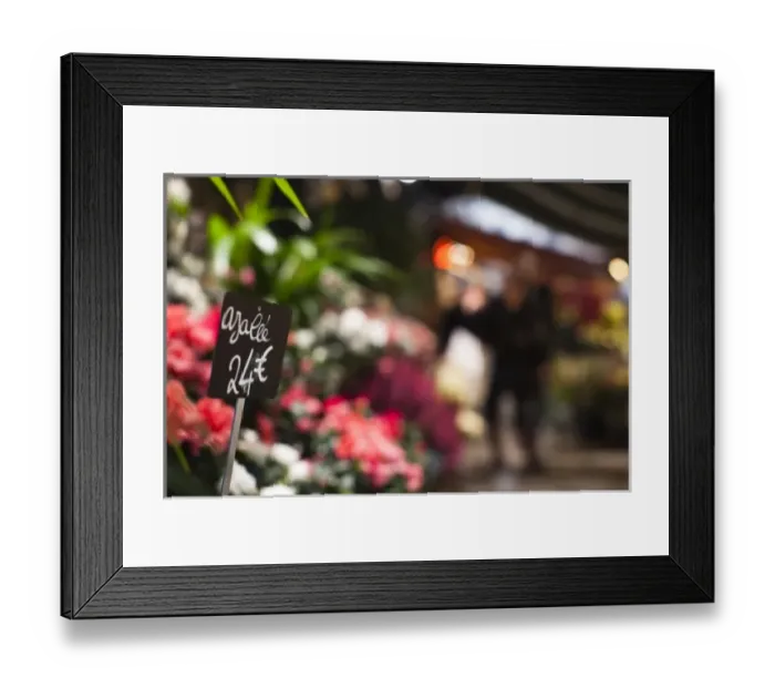 Framed Print : France, Paris, Left Bank, flower shop, rue de Buci Framed Print : France, Paris, Left Bank, flower shop, rue de Buci