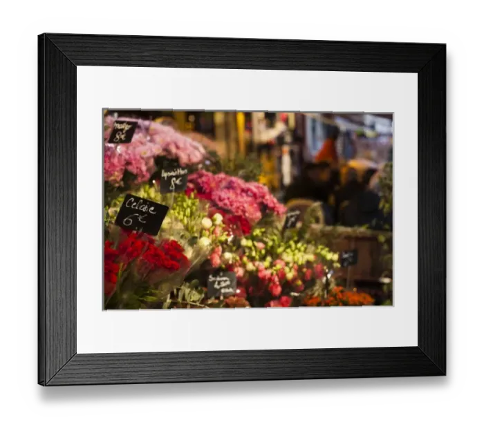 Framed Print : France, Paris, Left Bank, flower shop, rue de Buci