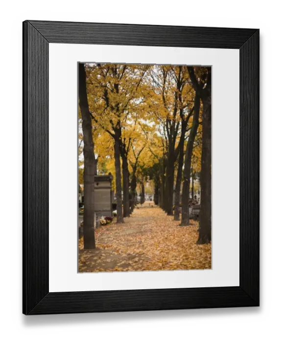 Framed Print : Europe, France Framed Print : Europe, France